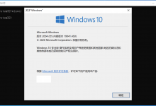 俄罗斯大神老毛子精简版系统win10-海边拾贝