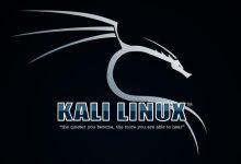 Kali Linux 2019.2 发布,安卓版 NetHunter 新增 13 个镜像-海边拾贝