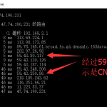 如何判断自己的VPS、服务器是不是CN2线路（机房）？